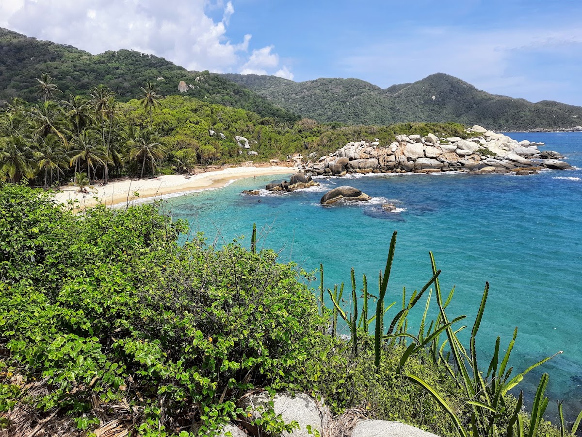 Lush jungle meeting turquoise ocean at Tayrona National Park