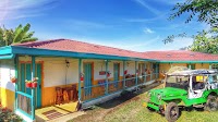 Coffee Farm Tour (Finca)