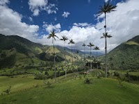 Day trip to Salento & Cocora Valley