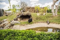 Ukumari Biopark