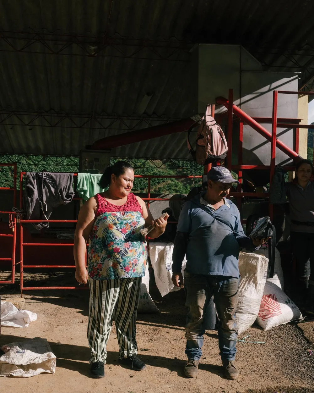 Coffee farm workers in Colombia's Eje Cafetero
