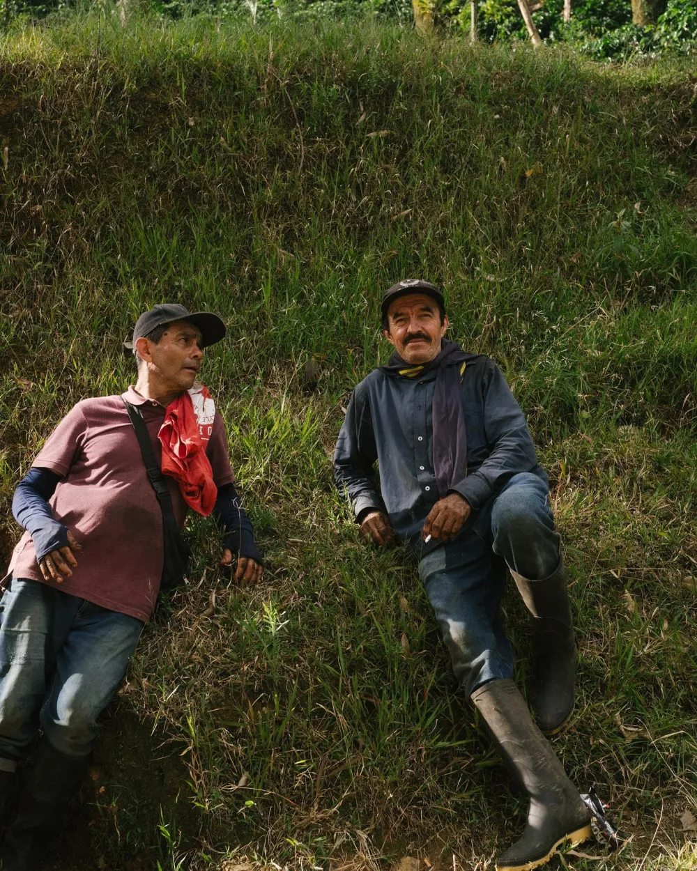 Two farmers sitting on a hillside in Colombia